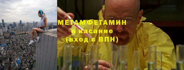 ГАЛЛЮЦИНОГЕННЫЕ ГРИБЫ Инсар