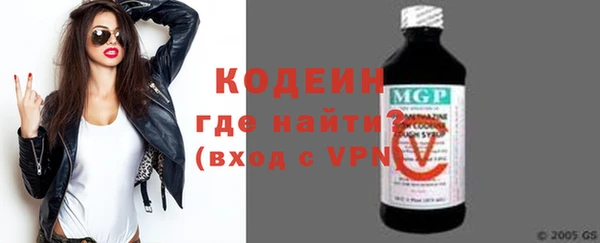 ГАЛЛЮЦИНОГЕННЫЕ ГРИБЫ Инсар