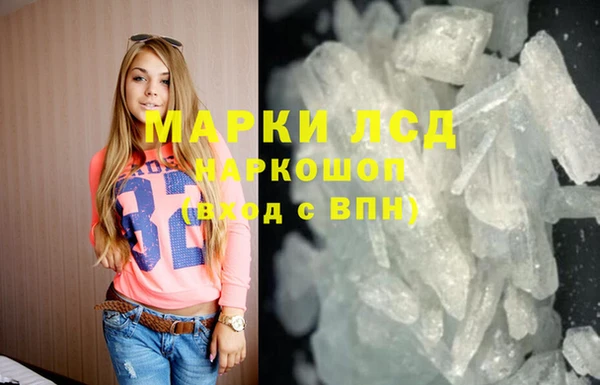 PSILOCYBIN Каменка