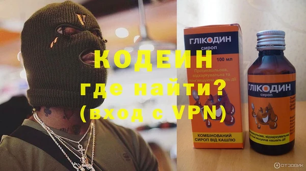 ГАЛЛЮЦИНОГЕННЫЕ ГРИБЫ Инсар