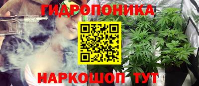spice Кимры