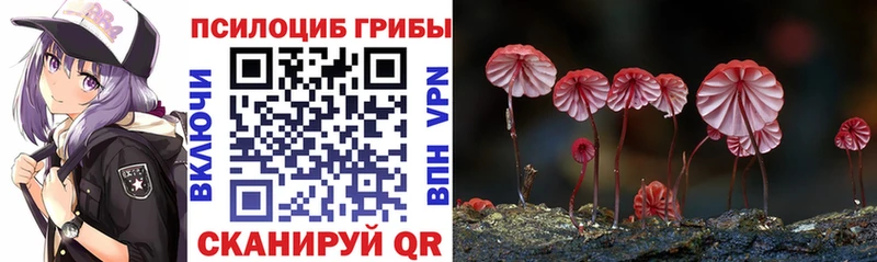 Псилоцибиновые грибы Psilocybe  Клинцы 