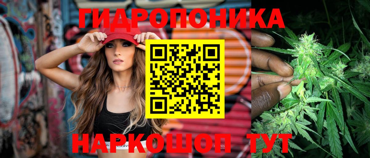 Конопля MAZAR  МАРИХУАНА сатива  Вход с VPN  Клинцы 