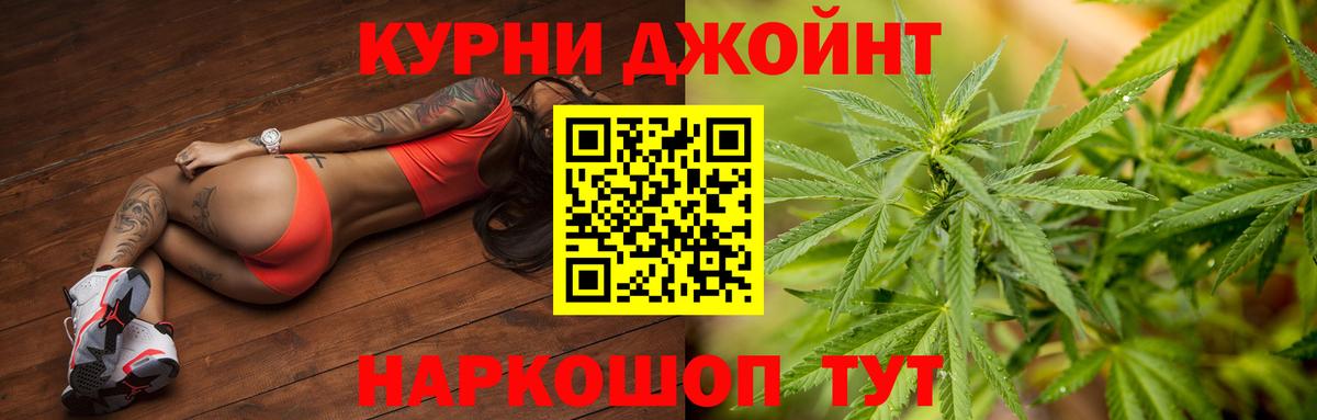 Конопля конопля Клинцы